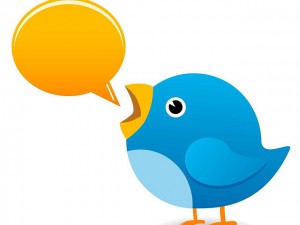 Twitter bird chatting